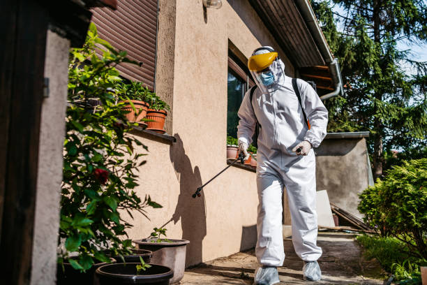 Reliable Diaz, AR Pest Control Solutions