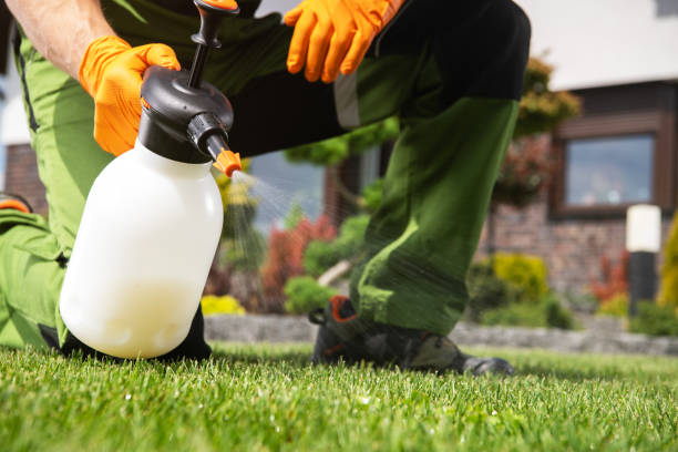 Best Termite Control Services  in Diaz, AR
