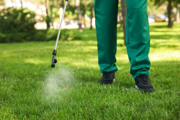 Best Local Pest Control Services  in Diaz, AR