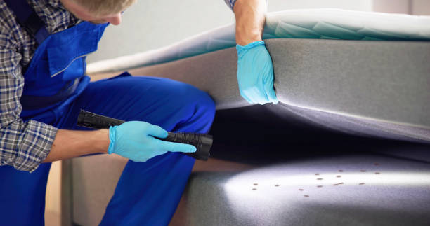 Best Commercial Pest Control Services  in Diaz, AR