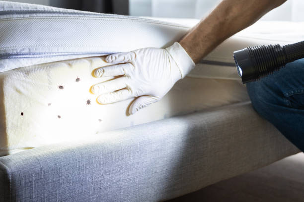 Best Exterminator Services  in Diaz, AR