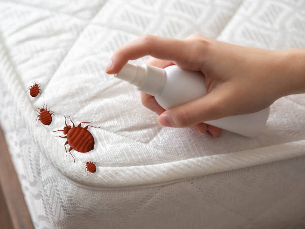 Best Emergency Pest Control  in Diaz, AR