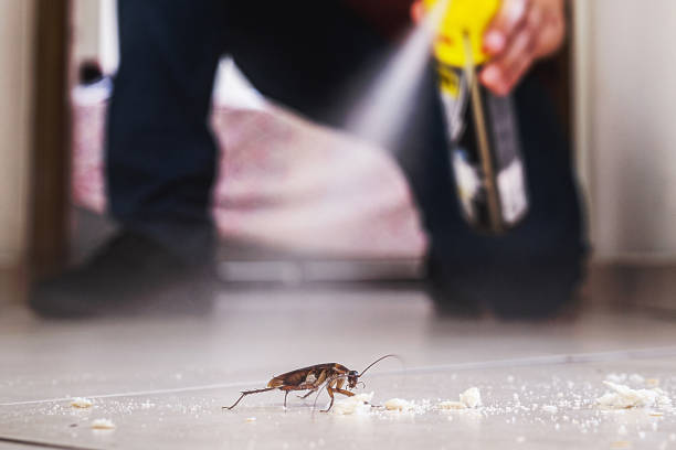 Best Cockroach Control Services  in Diaz, AR